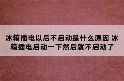 冰箱插电以后不启动是什么原因 冰箱插电启动一下然后就不启动了